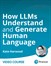 Inside Large Language Models: How LLMs can understand and produce human language (Video Course)